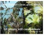 GE Plants contaminate