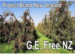 Protect Brand NZ