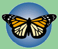 Monarch Butterfly