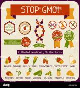 information poster stop gmo M6PDHN