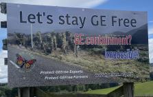 IMG 1027 1 dragged copy