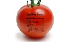 tomato 105559