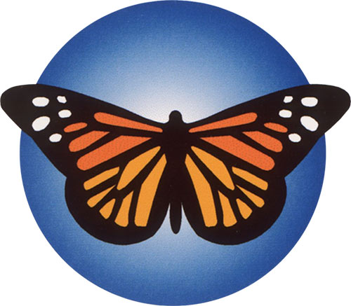 Ge Free New Zealand In Food And Environment -